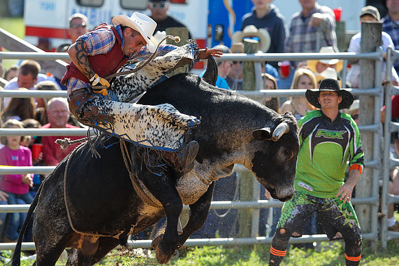 Bull Riding-209