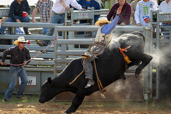 Bull Riding-265
