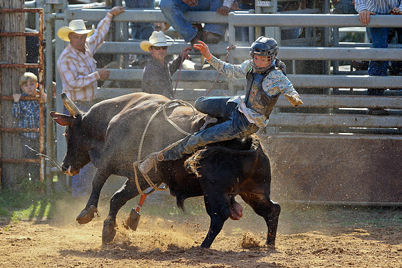 Bull Riding-141