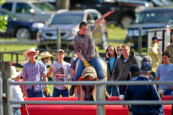 Bull Riding-85