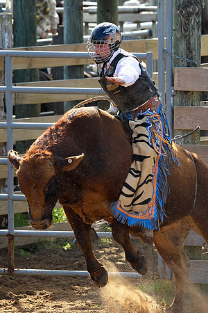 Bull Riding-227
