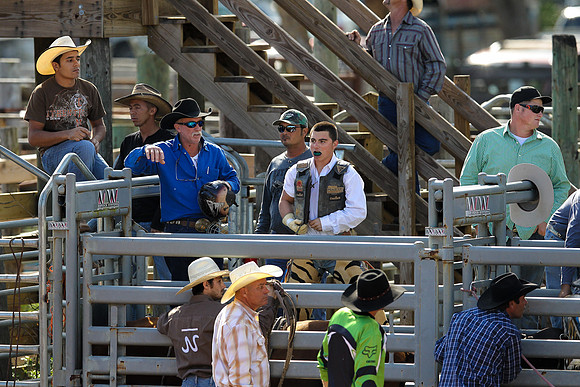 Bull Riding-216