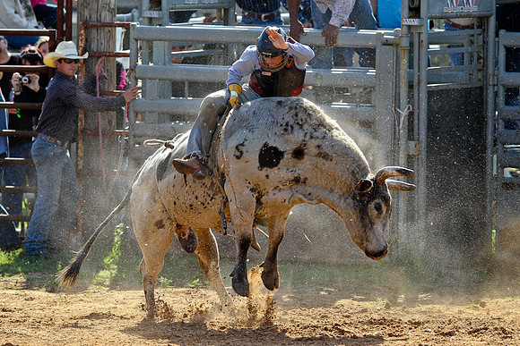 Bull Riding-157