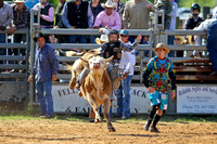 Bull Riding-4