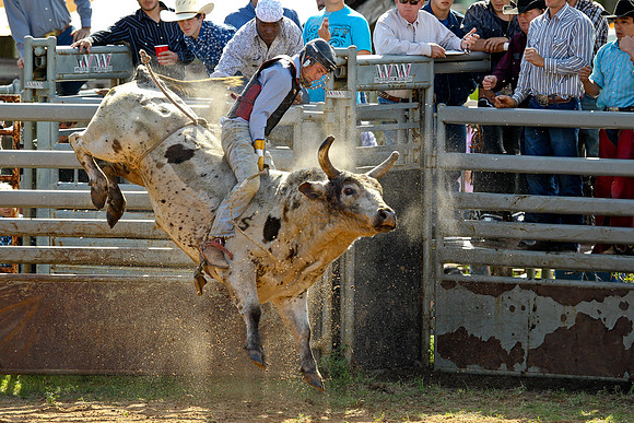 Bull Riding-154