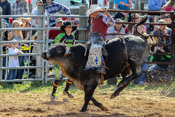 Bull Riding-203