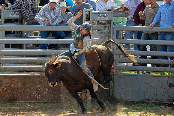 Bull Riding-134