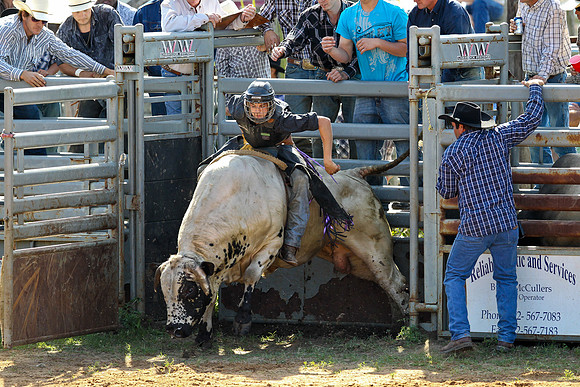 Bull Riding-114