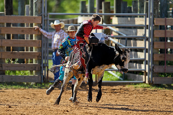 Bull Riding-68
