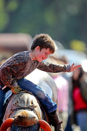 Bull Riding-73