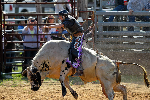 Bull Riding-123