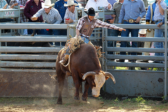 Bull Riding-232