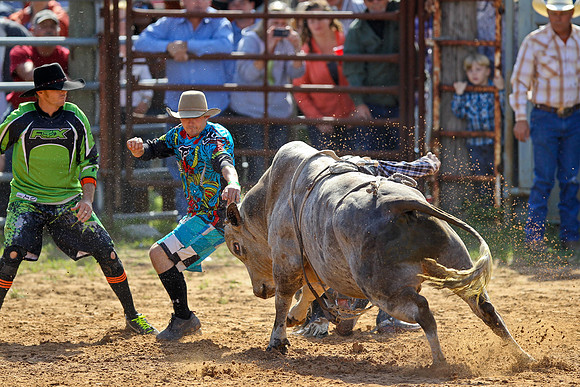 Bull Riding-98
