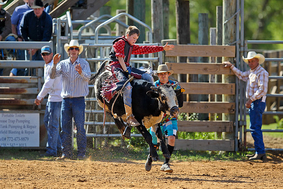 Bull Riding-62