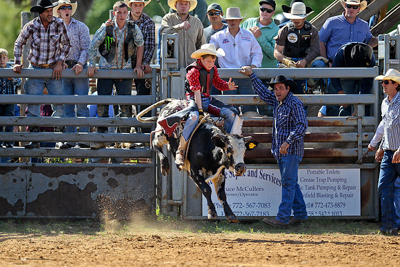 Bull Riding-50