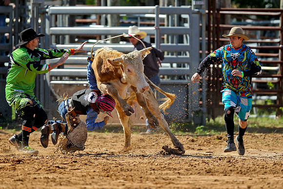 Bull Riding-41