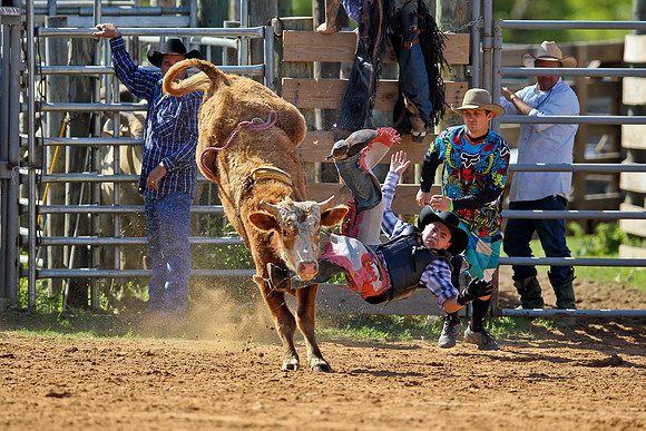 Bull Riding-39