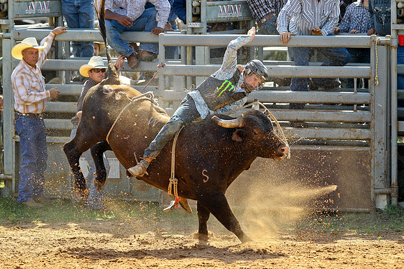 Bull Riding-138