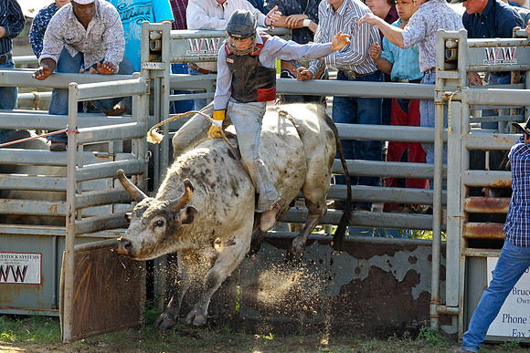 Bull Riding-147