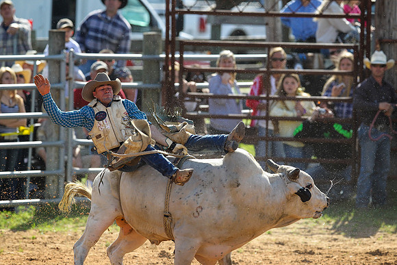 Bull Riding-186