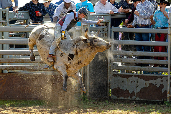 Bull Riding-153