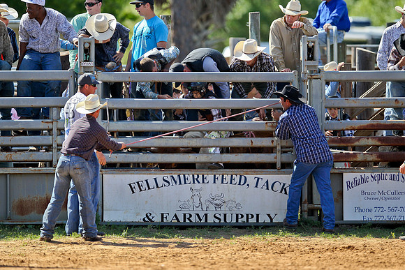 Bull Riding-20