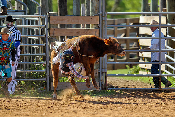 Bull Riding-31
