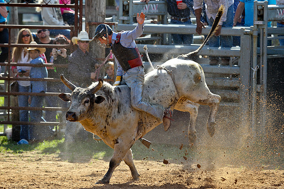 Bull Riding-158