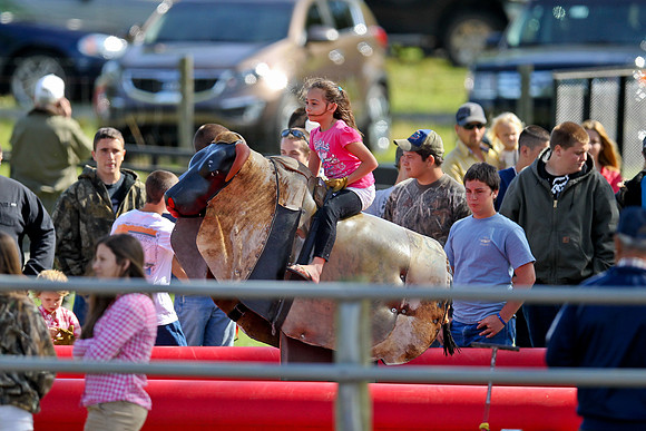 Bull Riding-88