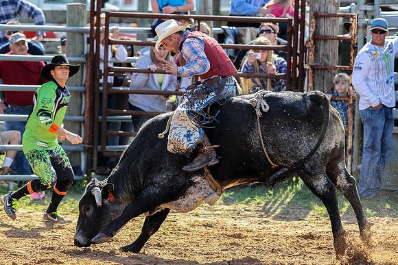 Bull Riding-202