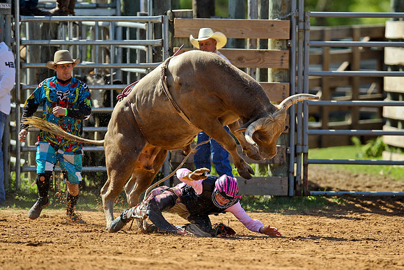 Bull Riding-17