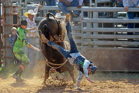 Bull Riding-143