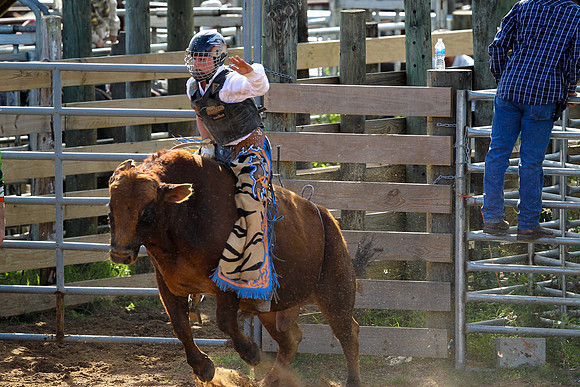 Bull Riding-226