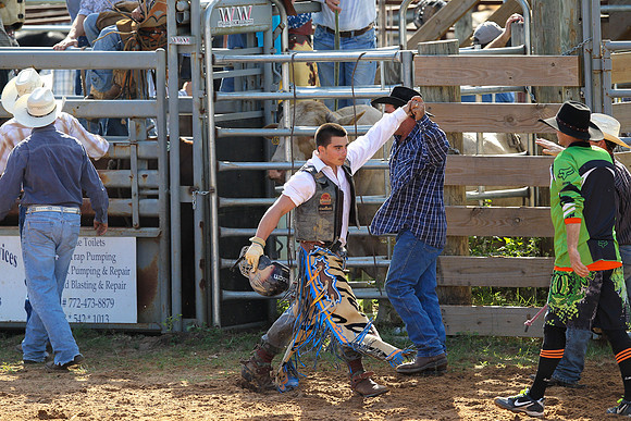 Bull Riding-230