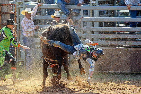 Bull Riding-142