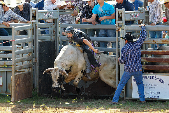 Bull Riding-113