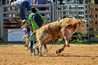 Bull Riding-9
