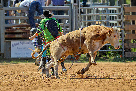 Bull Riding-9