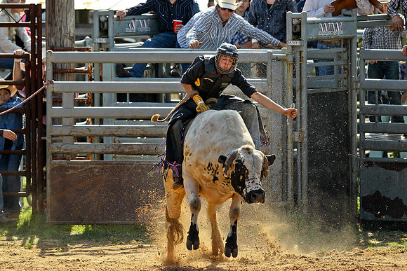 Bull Riding-121