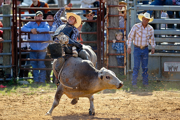 Bull Riding-92