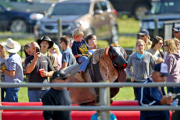 Bull Riding-77