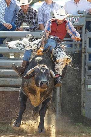 Bull Riding-194