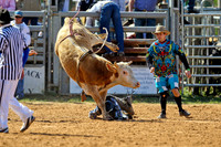 Bull Riding-6