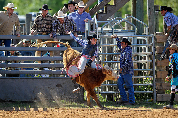Bull Riding-37