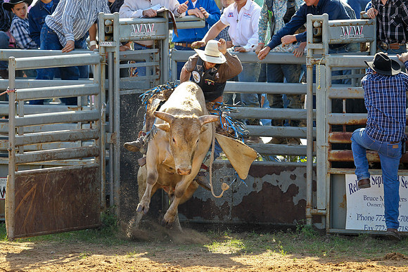 Bull Riding-103