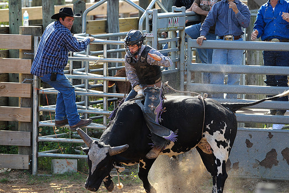 Bull Riding-211