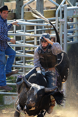 Bull Riding-212