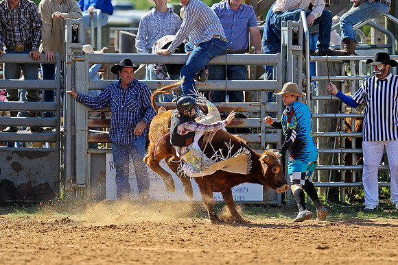 Bull Riding-26