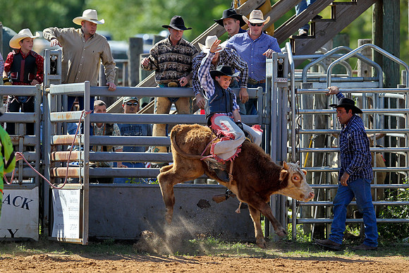 Bull Riding-35
