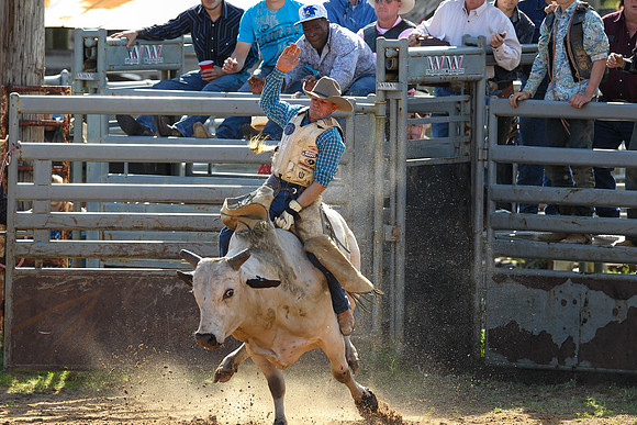 Bull Riding-179